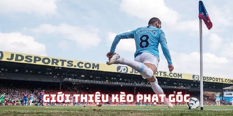 Lý thuyết thực tiễn về kèo phạt góc